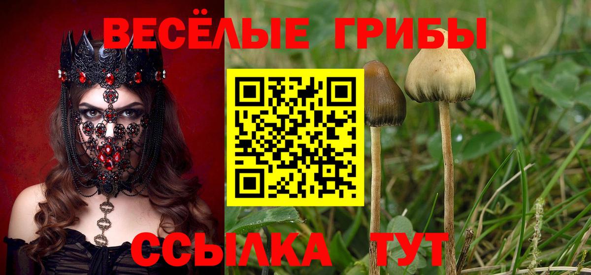 Протвино  Псилоцибиновые грибы Cubensis  Галлюциногенные грибы ЛСД  Вход с VPN 