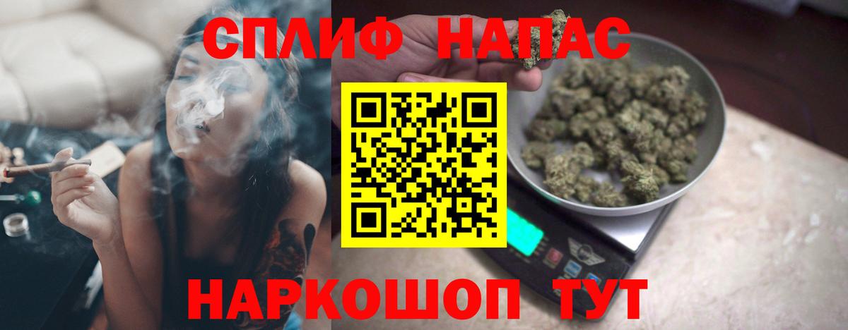 Каннабис конопля Протвино
